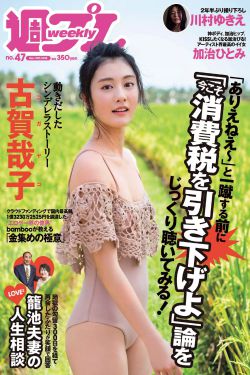 新上门女婿电视剧